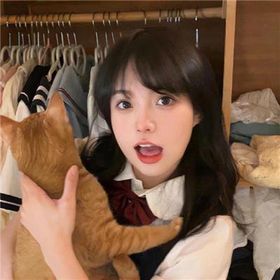 鹤唳华亭